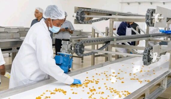 Thumbnail for Milly Fruit EPZ plant opens in Kilifi, processing mangoes, pineapples for export markets 