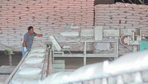 USDA forecasts 512% surge in US imports of Mexican sugar for 2026-27 marketing year