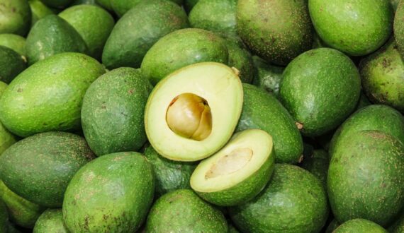 Thumbnail for Global avocado market faces volatility as El Niño threatens yields, trade expands
