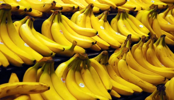Thumbnail for Cameroon Development Corporation banana exports hit 2026 low in June amid dry season, conflict
