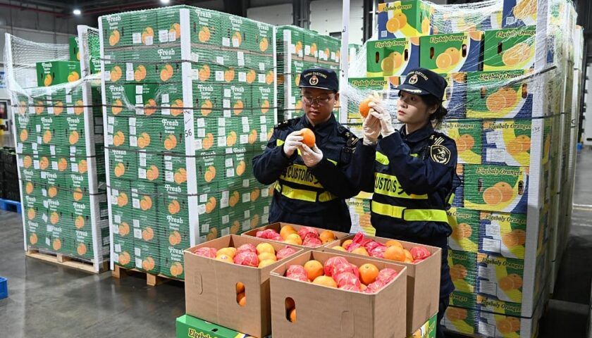 Thumbnail for China’s zero-tariff policy cuts African fruit import costs by 17%, boosts trade