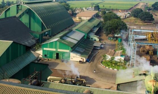 Thumbnail for Kinyara Sugar to pay US$1.51M cash top-up to sugarcane farmers for 2025/26 financial year