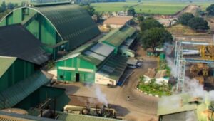Zimbabwe sugar industry rebounds in 2026, Hippo Valley Estates reports strong revenue and profit growth