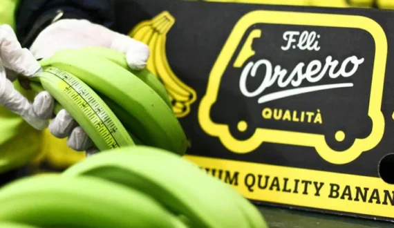 Thumbnail for Orsero enters US market with US$46M Trucco investment, expands global distribution reach