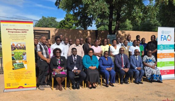 Thumbnail for Malawi transitions to digital pest surveillance under Africa Phytosanitary Programme