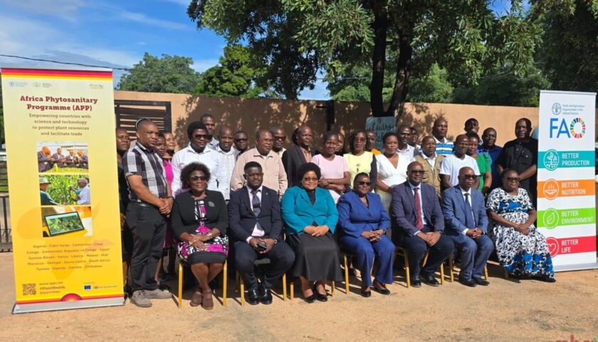 Thumbnail for Malawi transitions to digital pest surveillance under Africa Phytosanitary Programme