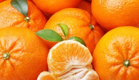 Thumbnail for Spain, India, Chile lead global fruit exports through logistics, counter-seasonal advantages