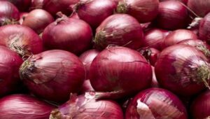Egypt exports 165,000 tonnes of food in weekly trade as onions, strawberries lead shipments