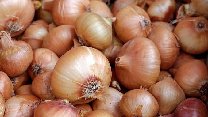 Thumbnail for Morocco resumes onion exports to Africa, as tomato, potato restrictions remain