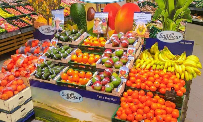 Thumbnail for SanLucar acquires majority stake in Twin River Berries to expand North America, Asia presence