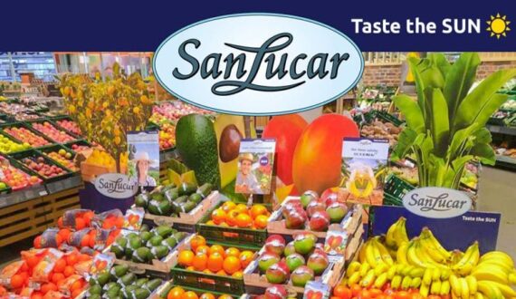 Thumbnail for SanLucar acquires majority stake in Twin River Berries to expand North America, Asia presence