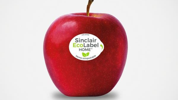Thumbnail for Copefrut adopts Sinclair compostable labels for apples, plums, kiwifruit to cut plastic waste