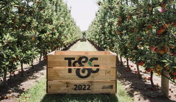 Thumbnail for J&P Turner seeks clearance to acquire T&G Fresh in New Zealand produce sector consolidation