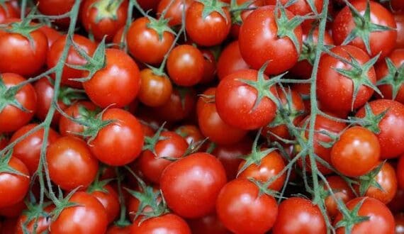 Thumbnail for Morocco extends produce export freeze to Africa despite domestic price drops