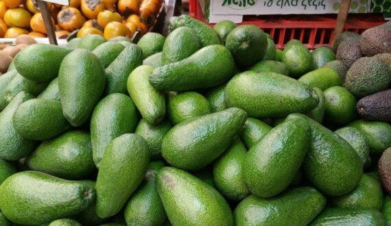 Thumbnail for US tariffs on agricultural imports draw praise from IFPA, criticism from Australia, Chile, MERCOSUR