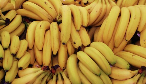 Thumbnail for Indian banana exports face spoilage as Strait of Hormuz closure extends shipping time