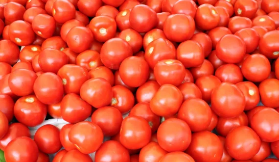 Thumbnail for Ghana allocates 500 hectares to tomato cultivation to cut imports, boost local production