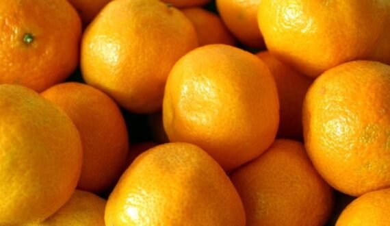 Thumbnail for South Africa faces UK citrus rule alignment with EU by mid-2027