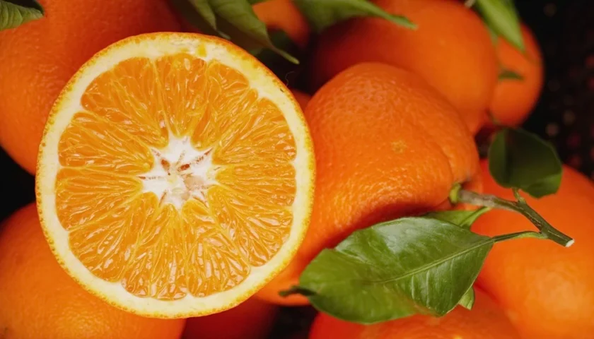 Turkish citrus exports reach US$1B as Egyptian oranges hit record low in China