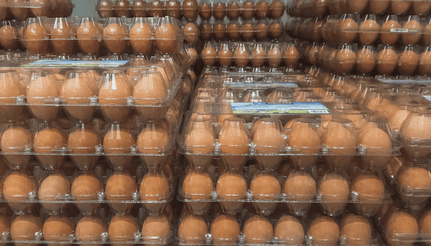 Thumbnail for Cal-Maine Q4 revenue drops nearly 50% as egg prices hit historic lows