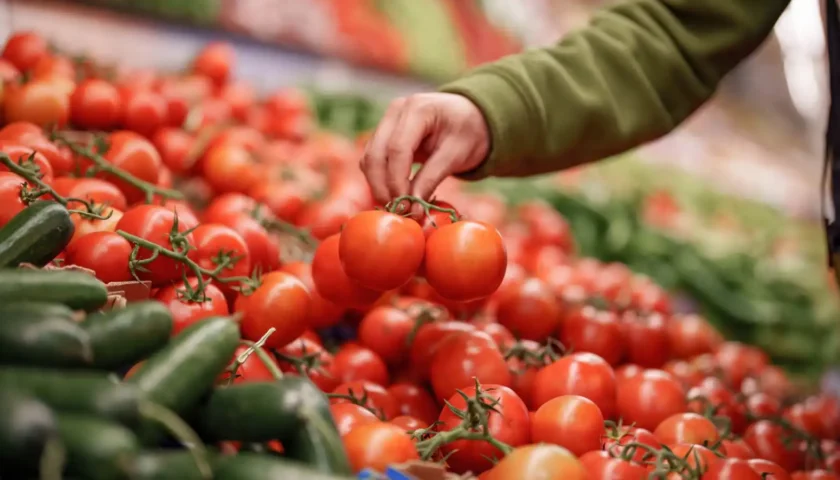Thumbnail for Morocco leads non-EU fresh produce supply to Spain as imports reach US$826M