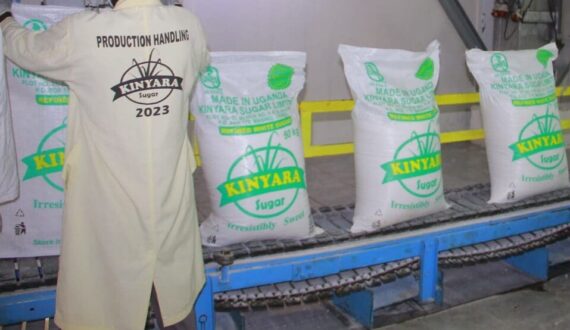 Thumbnail for Zimbabwe sugar industry rebounds in 2026, Hippo Valley Estates reports strong revenue and profit growth