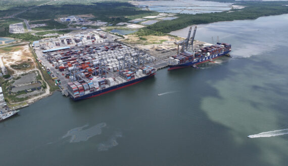 Thumbnail for Peru blueberry exports surge 74% as US, Europe displace China from top market spot