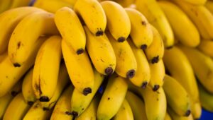 Ethiopia targets global banana exports with quality push, financial investment