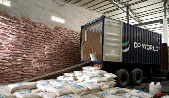 Thumbnail for Senegal mango exports rise 15% despite quality concerns