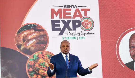 Thumbnail for South Africa extends UAE red meat export registration deadline