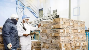 Rainbow Chicken explores export opportunities across Africa, Middle East