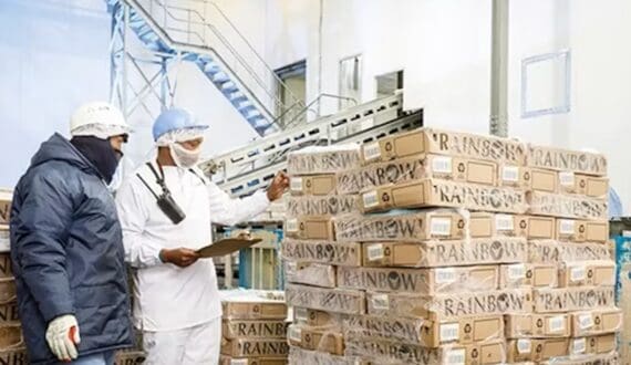 Thumbnail for Rainbow Chicken explores export opportunities across Africa, Middle East