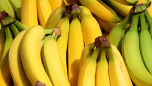 Cameroon banana exports surge 17.6% in H1, 2026