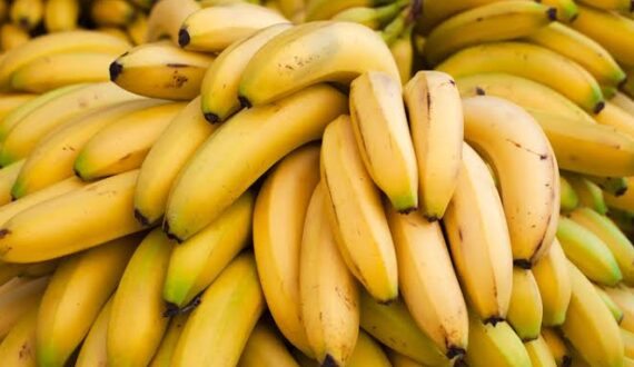 Thumbnail for South Africa forecasts record citrus exports despite flooding, Middle East disruptions