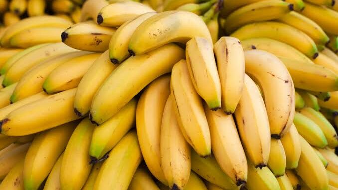 Thumbnail for Ecuador banana exports rise 5.5% in H1 2026