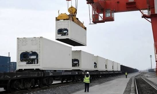 Thumbnail for Egypt gains 21 new export markets as agricultural shipments top 5.8 million tons