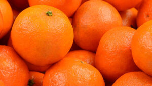 Egypt gains 21 new export markets as agricultural shipments top 5.8 million tons