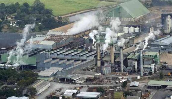 Thumbnail for Hippo Valley Estates’ domestic sugar sales rise 8% as exports face trade restrictions