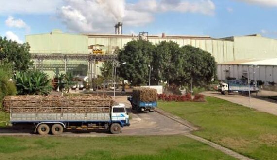 Thumbnail for KCP Sugar net profit surges 158.5% in Q1 FY2026-27