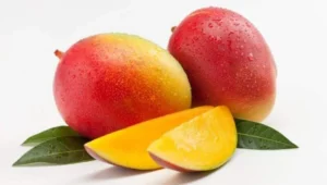 Senegal mango exports rise 15% despite quality concerns