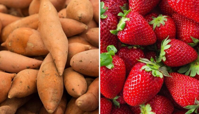 Thumbnail for Egypt exports 160,000 tons of food in weekly trade; sweet potatoes and strawberries lead