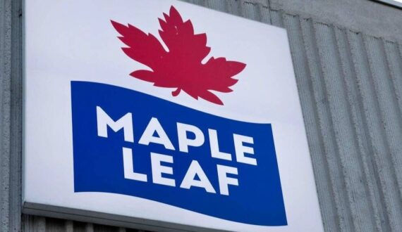 Thumbnail for Maple Leaf Foods to close two US plant-based meat plants
