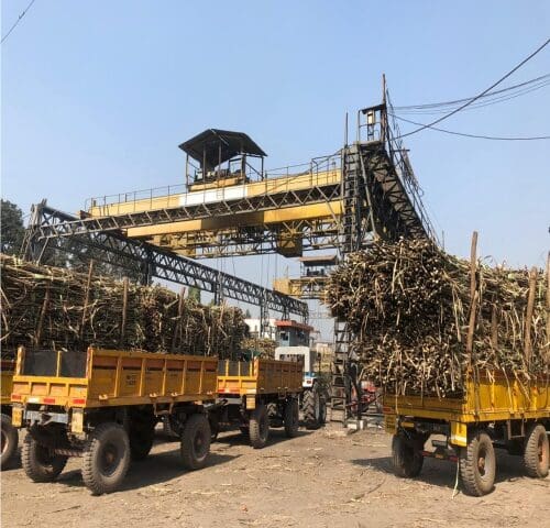 Thumbnail for Bihar launches dedicated investment policy for sugar industry investors