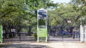 Chemilil Sugar injects US$5.8M into farmers’ pockets after privatisation