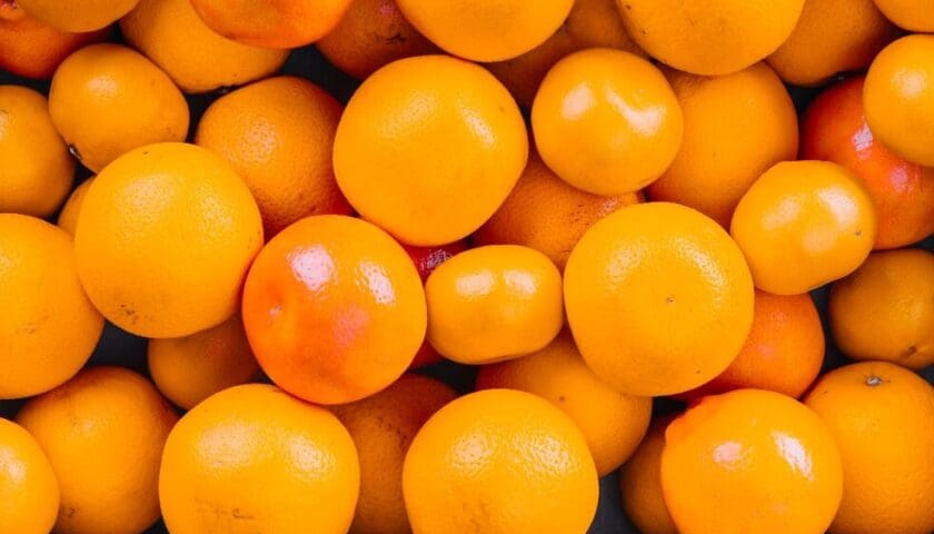 Thumbnail for Egypt citrus exports pivot to Africa, Americas as China season expands