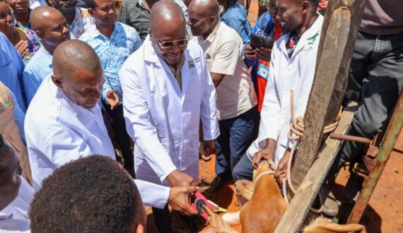 Thumbnail for Kenya hands Bachuma livestock export hub to private investor