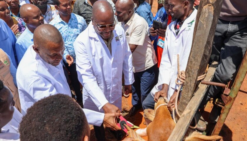 Thumbnail for Kenya hands Bachuma livestock export hub to private investor