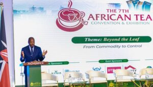 Kenya calls for farmer-centred tea strategy as value addition, exports grow