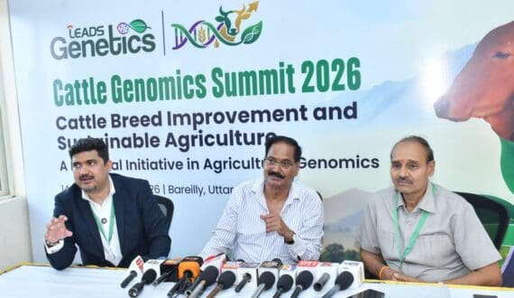 Thumbnail for BL Agro to invest US$156.5M in cattle genetics, dairy technology