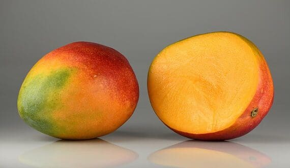 Thumbnail for Senegal mango exports to Europe exceed 19,000 tons as pest control improves